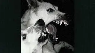 free) hardcore punk x metal x alternative rock type beat - "NEW SPIKES" (prod. Capsized)
