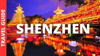 Shenzhen China Travel Guide: 16 BEST Things To Do In Shenzhen Guangdong