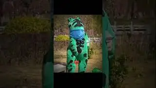 дикая битва лягушка 🐸 и панда 🐼 