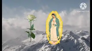 [FALSO] pantalla antiparatería la rosa de Guadalupe [Estados Unidos]