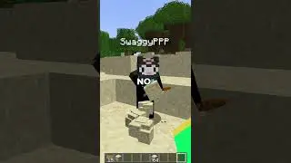 Minecraft noob