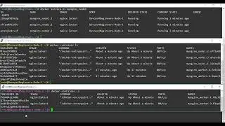 39. Docker Constrainr and Label