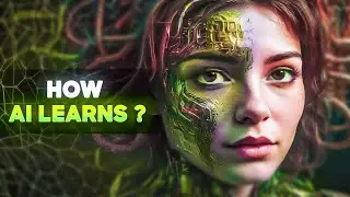 HOW AI LEARNS ?