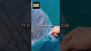 Эта вещь спасет вас в открытом океане! 