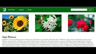 How To Make Website For Beginners Using Html and CSS