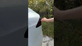 Insert coins 