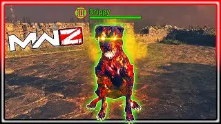 How To Get A Level 3 Friendly Hellhound In MWZ
