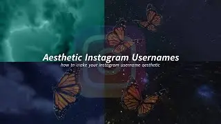 30 Aesthetic Username Ideas for Instagram | Aesthetic Username Ideas 🌻💡