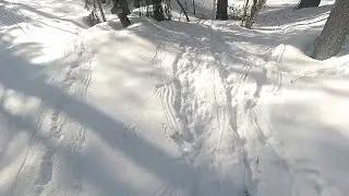 ЭТОМУ РАД КАЖДЫЙ ОХОТНИК! ЗАГАДОЧНЫЕ СЛЕДЫ НА СНЕГУ! КТО МОГ ИХ ОСТАВИТЬ!? КАК НАЙТИ ГЛУХАРИНЫЙ ТОК?