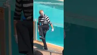 Lynn the mime