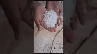 A sack full of plastic pellets found on on Juhu beach