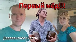 Откачали первый мед// Покрасили стены