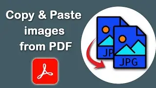 How to copy and paste images from PDF in Adobe Acrobat Pro DC