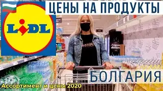 Цены в Болгарии на продукты. LIDL: ассортимент и цены на продукты в Болгарии 2020