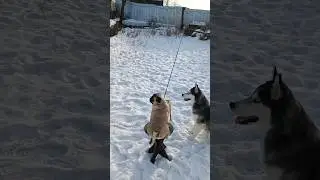 Байка Кузьмича. Деревня.