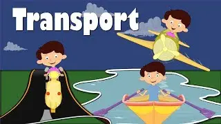 Modes of Transportation | 