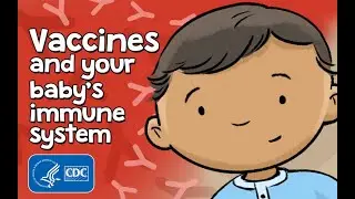 How do vaccines help babies fight infections? | How Vaccines Work