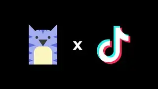 Kapwing x TikTok Partnership: Edit on Kapwing, Share to TikTok