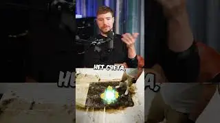 MrBeasta ПОЙМАЛИ Фанаты?