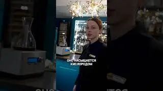 ЗАЧЕМ ВИНО ВЗБАЛТЫВАЮТ В БОКАЛЕ? Как ПРАВИЛЬНО ПИТЬ вино? Насыщение вина кислородом? Декантер