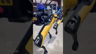 Robotic Dog Playing Fetch🤖🎾🐕 #robotics #computerscience #engineering