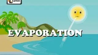 Evaporation - Elementary Science