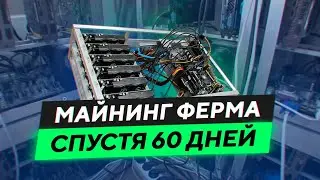 Майнинг. День 60й. Моя ферма за 1,5 млн, расходы, доходы, окупаемость, риски...