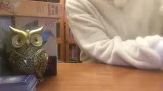 Соперница и ваш мужчина что сейчас между ними ❓💯💯💯❓❓❓❓❓❓❓😅