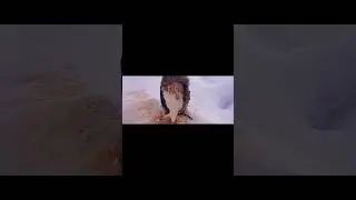 Центр Специальной Подготовки Каскад. Трейлер Канала 