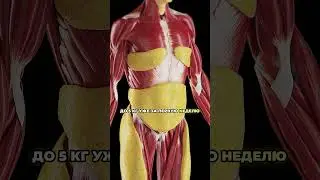 Забытый советский рецепт для похудения #здоровье #факты #зож #совет #советы #рецепт #рецепты #ссср