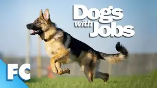 Dogs With Jobs | S3E03: Stan: Etiquette Coach | Full Animal Documentary TV Show | FC