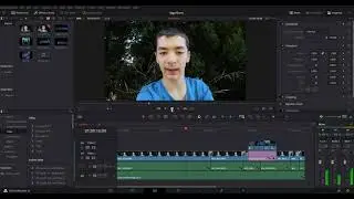 Speed up DaVinci Resolve easily!