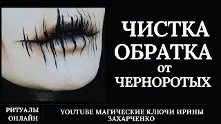 От черноротых. Чистка с обраточкой 🪃