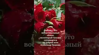 Любовь - обман...💔