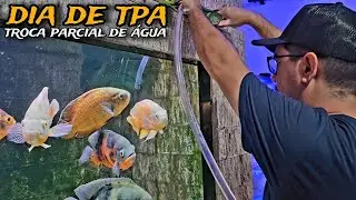 DIA DE TPA NO JUMBÃO DE 1.100L E NO MARINHO DE 300L DO @MoustacheAquarium