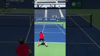 When Dimitrov Tried to be Kyrgios but FAILED! 🤦‍♂️ #shorts