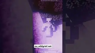 ip- mc.wildgrie.net 
