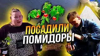 Привезли телевизор. Посадили помидоры. Сделали парник. Работа полным ходом.