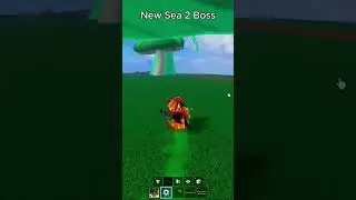 New Sea 2 Boss 😱