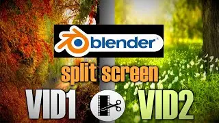 Blender 2.91.2 Video Editing - How to Render Two Videos Side By Side