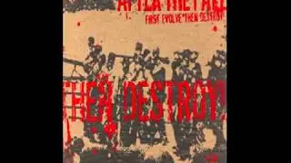 After The Fall - First Evolve Then Destroy (2004)