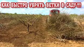 КАК УБРАТЬ ВЕТКИ В САДУ / БЫСТРО И КАЧЕСТВЕННО!!!