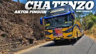 BUS AKTOR TELOLET PINGUIN || TELOLET BASURI  DEWI PERMATA CHATENZO FULL REMIX