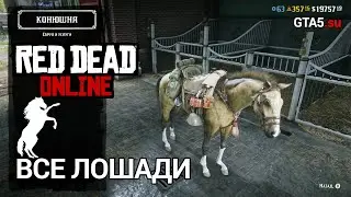 Все лошади в Red Dead Online 2020 - породы лошадей