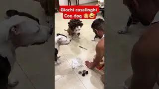 come giocare con dog 🐶 