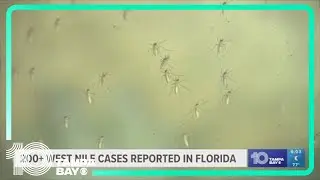 Health leaders are warning people about West Nile with mosquito season in full swing