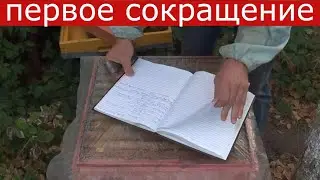 Сокращение гнезда пчёл осенью в два этапа