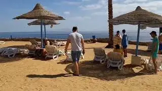 Queen Sharm Resort *4 (ex. Vera Club Queen Sharm Beach). шарм-эль-шейх. Египет.