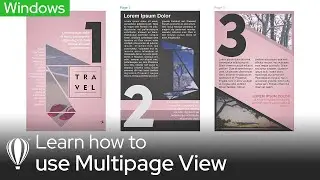 How to Use Multipage View and Pages Docker | Windows