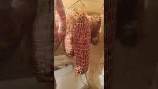 Кладовка счастья! Мечта коптильщика 
